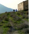 /album/fotogaleria-fotogaleria/sin-titulo-1-jpg2/